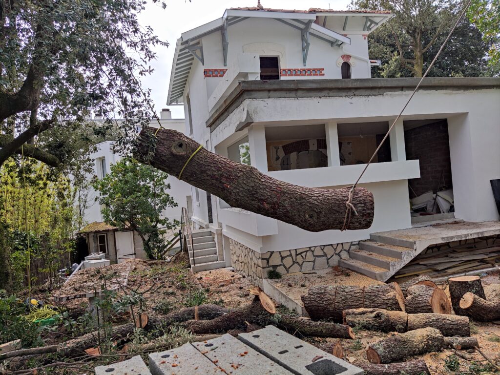 Rétention d'une bille de bois, Abattage délicat a proximité d'une maison Pays royannais